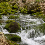 Живая вода
